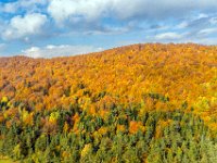 Beskid Niski